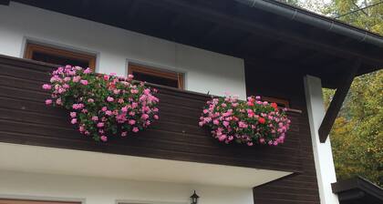 Wonderful 2 Bedroom Apartment in Pintoresque Alpine Village.