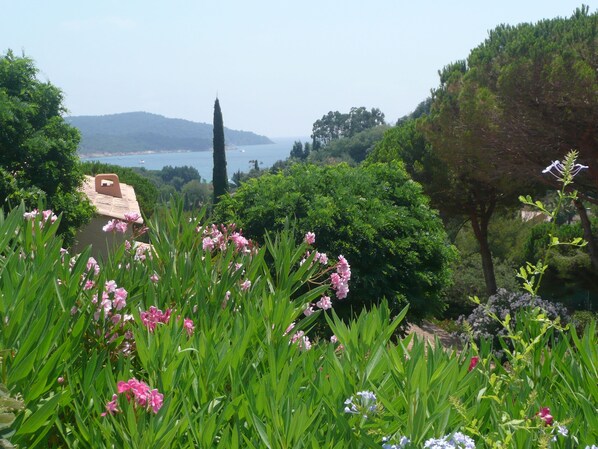 A garden with various plants and flowers, a pathway, and a view of the sea and hills in the background.