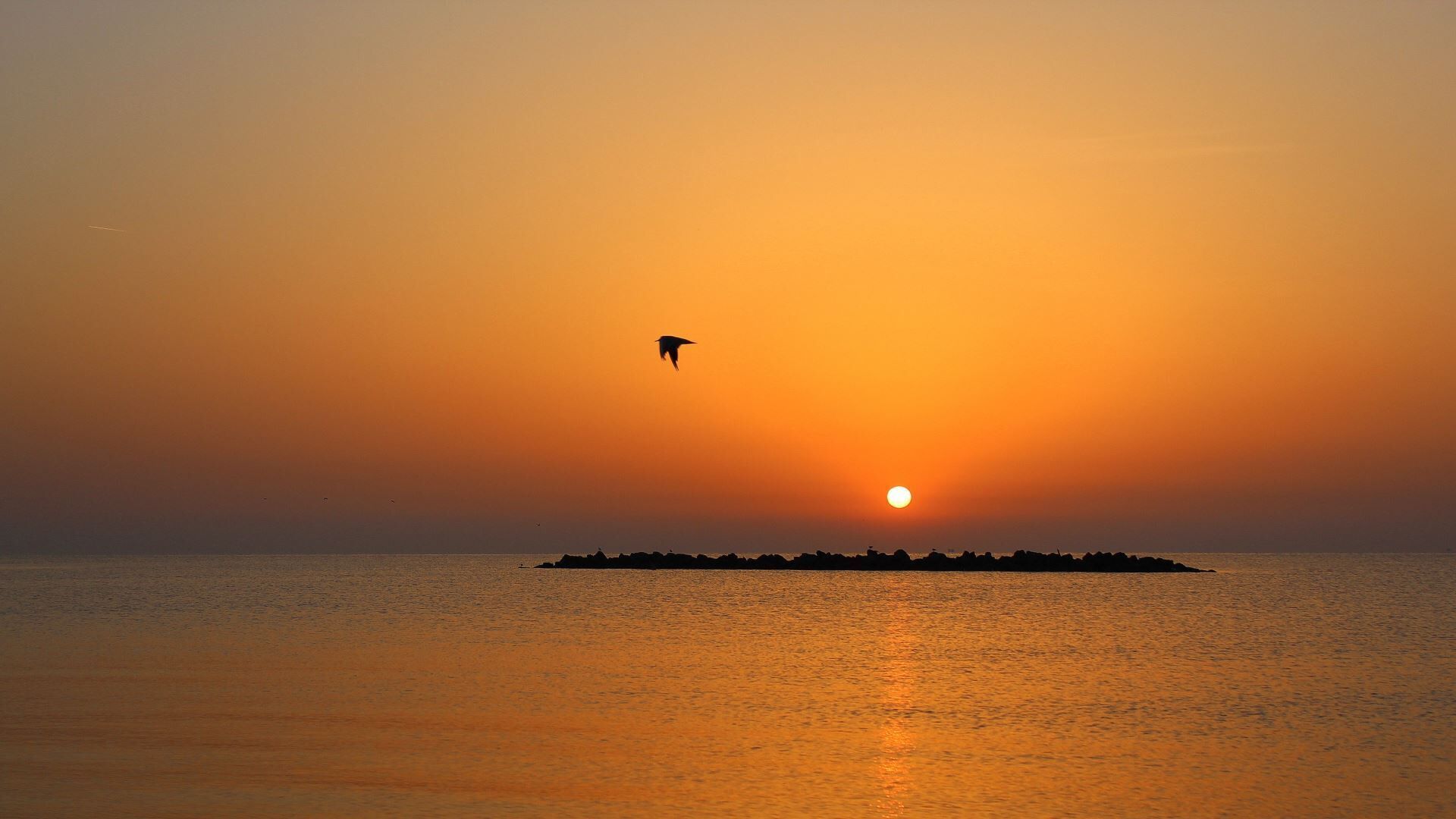 海滩
