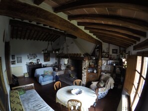 A cozy room with a wooden ceiling, a dining table with chairs, a sofa, and a fireplace.
