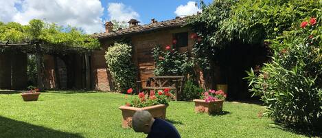 Área da propriedade