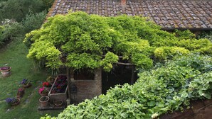 Een landelijk huis met een pannendak, omringd door weelderige begroeiing en een tuin met potplanten.