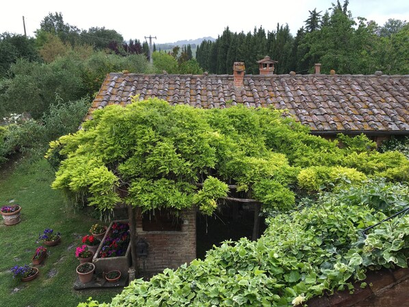 A rustic house with a tiled roof, surrounded by lush greenery and a garden with potted plants.