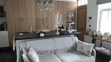 TV, fireplace, books, video library