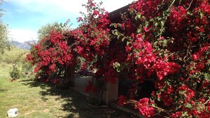 Un edificio de ladrillo parcialmente cubierto por coloridas flores de buganvilla roja.