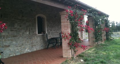 Casa Santina House located in a large Mediterranean garden