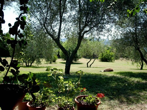 Casa Santina Haus in einem großen mediterranen Garten befindet