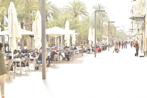 Beautiful, Cosy, Great Apartment Downtown, Near Beach.  Ask for Parking.