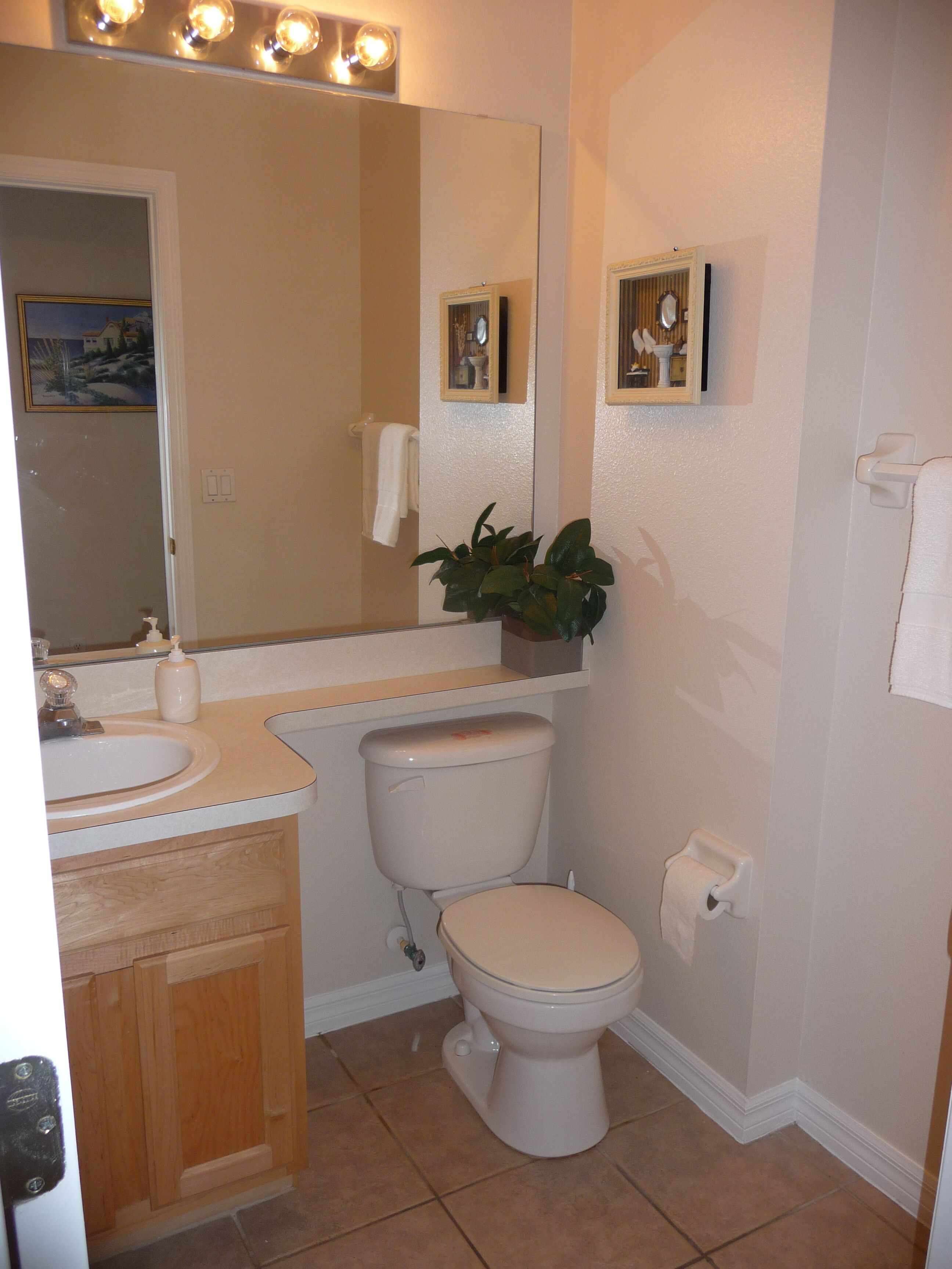 A bathroom with a toilet, sink, and mirror. There is a plant on the counter and a towel hanging on the wall.