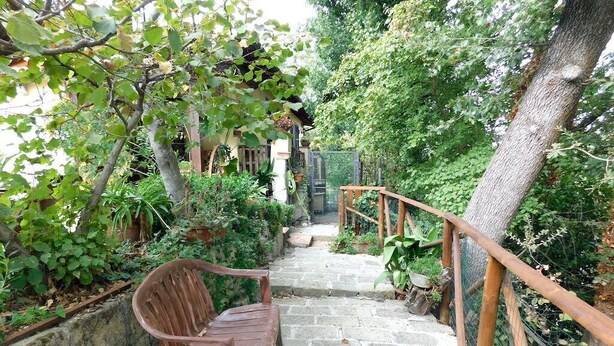 A stone staircase leading to a wooden bench in a garden area with greenery and a fence. - Domus Anghelos ... in the Roman countryside (Roma)
