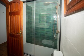 Bathtub, hair dryer, bidet, towels