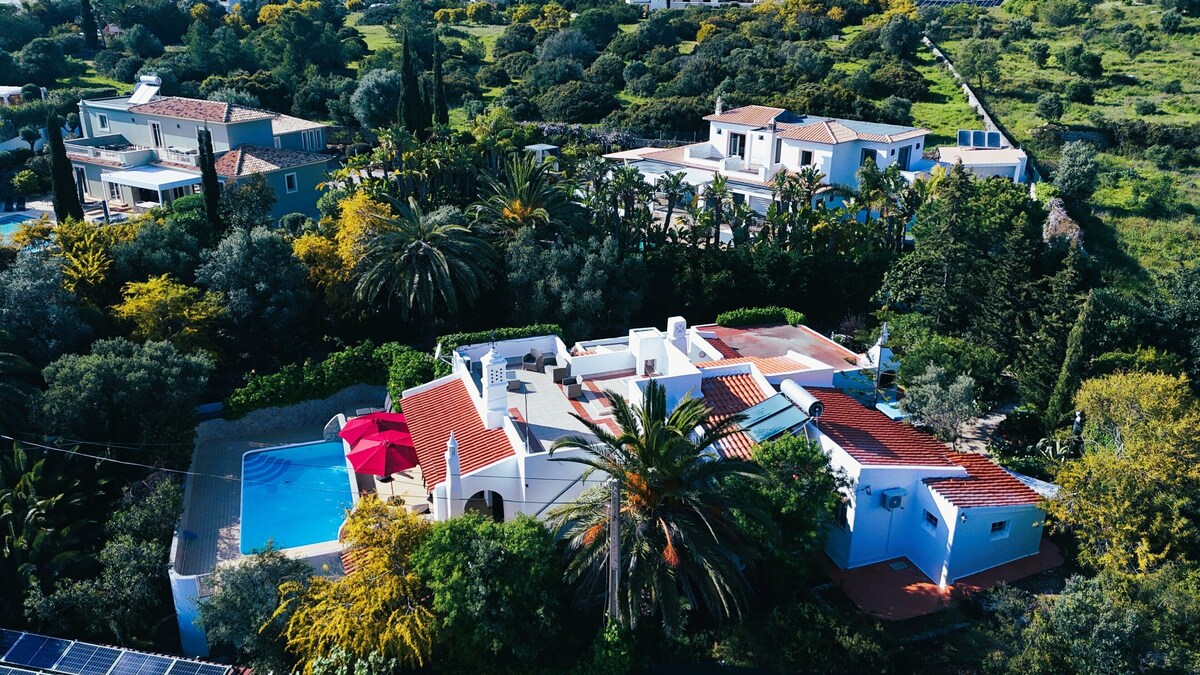 Imagen de perfil del propietario o de la propietaria