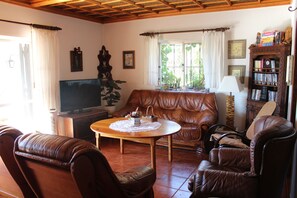 Una Smart TV, una chimenea, un reproductor de DVD, libros