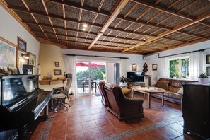 Smart TV, fireplace, DVD player, books