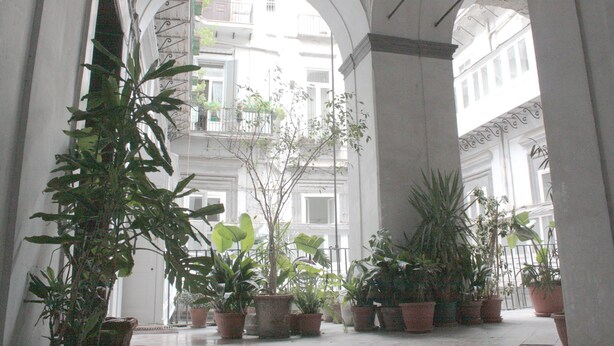 A corridor with arches, potted plants, and a view of buildings in the background. - Luxurious apartment in an ancient noble palace in the historic center of Naples (Napoli)