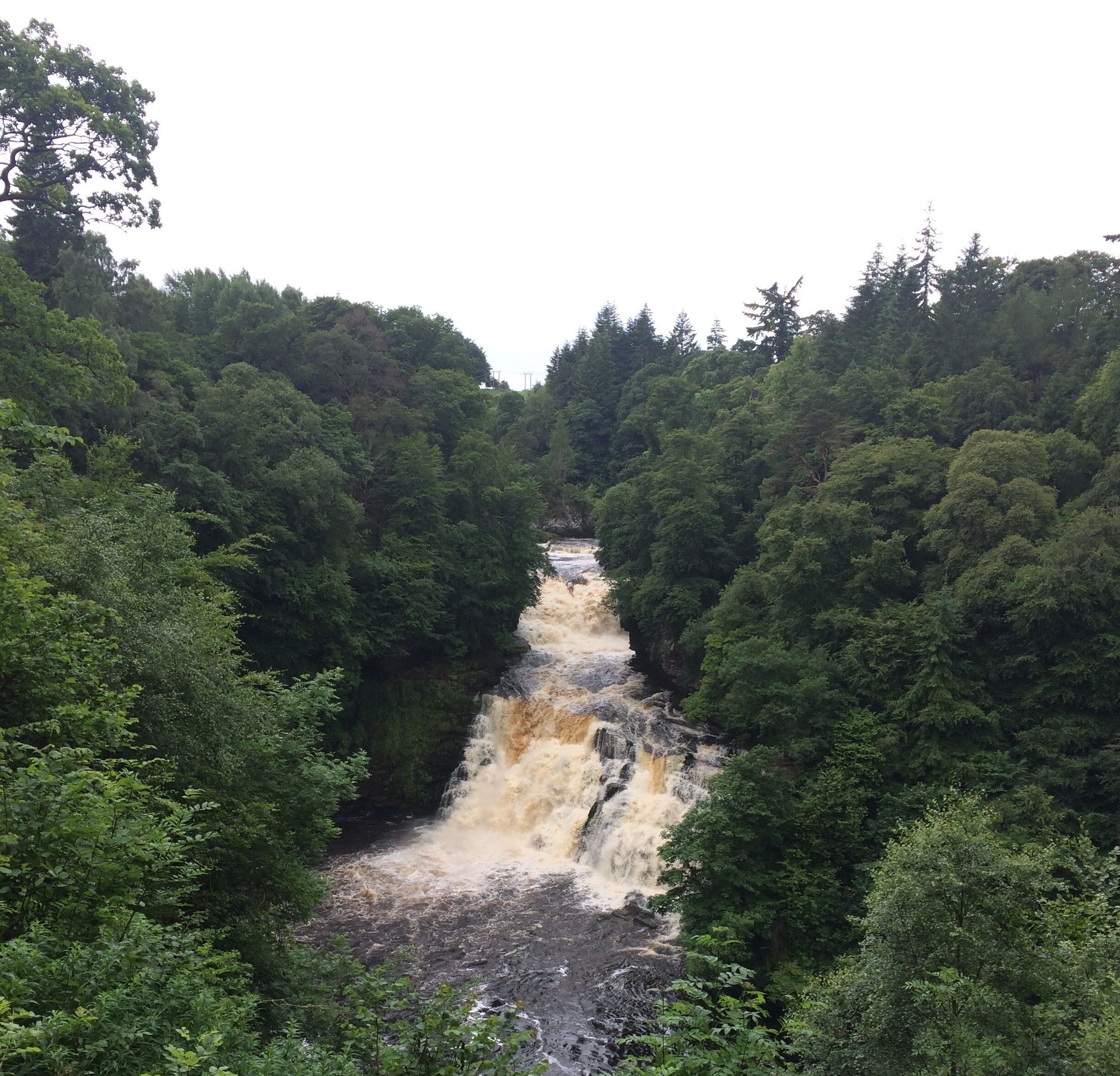 Ein Wasserfall, umgeben von dichtem Wald.