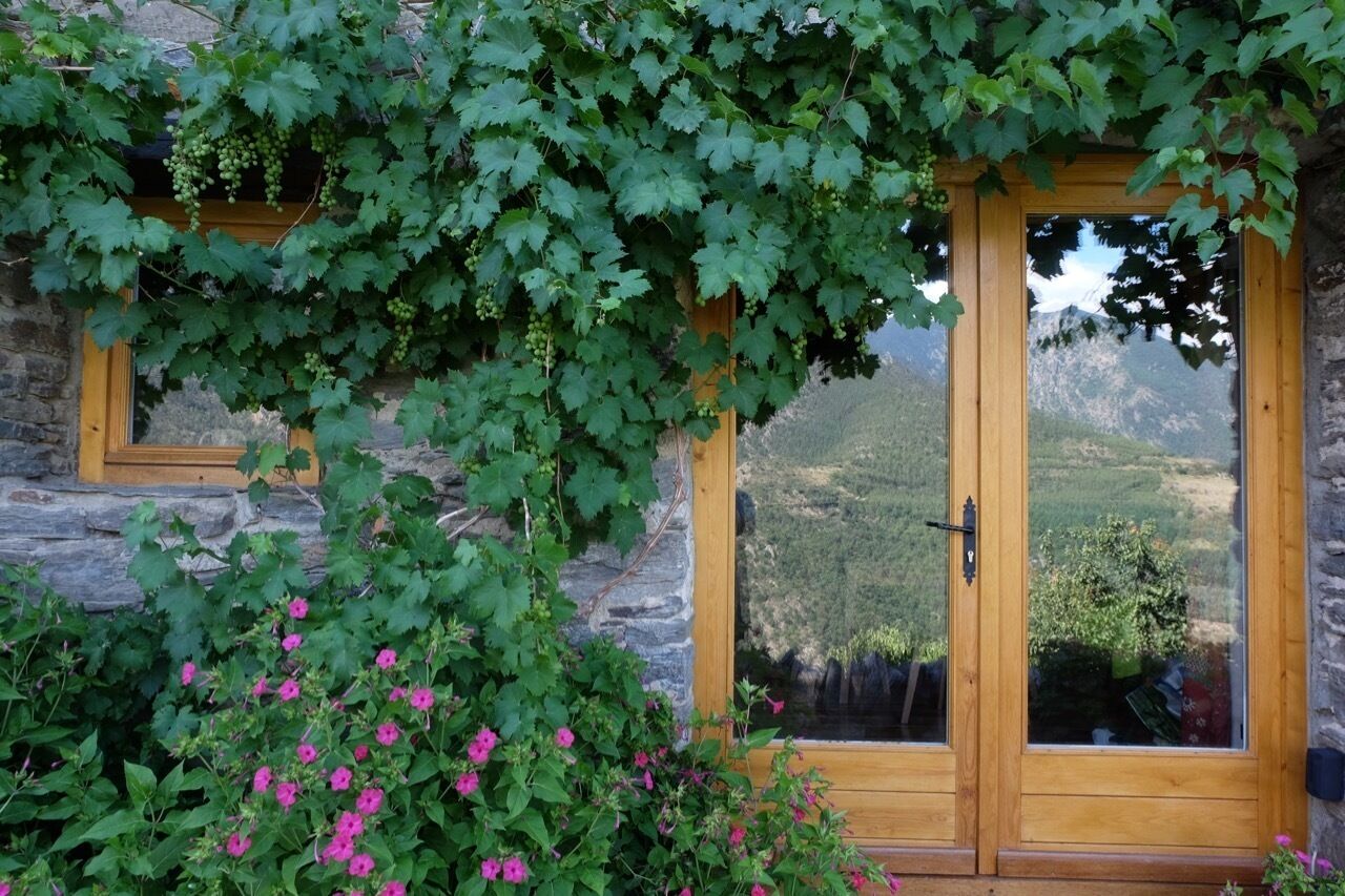 Front door - help yourself to grapes from the vine in season