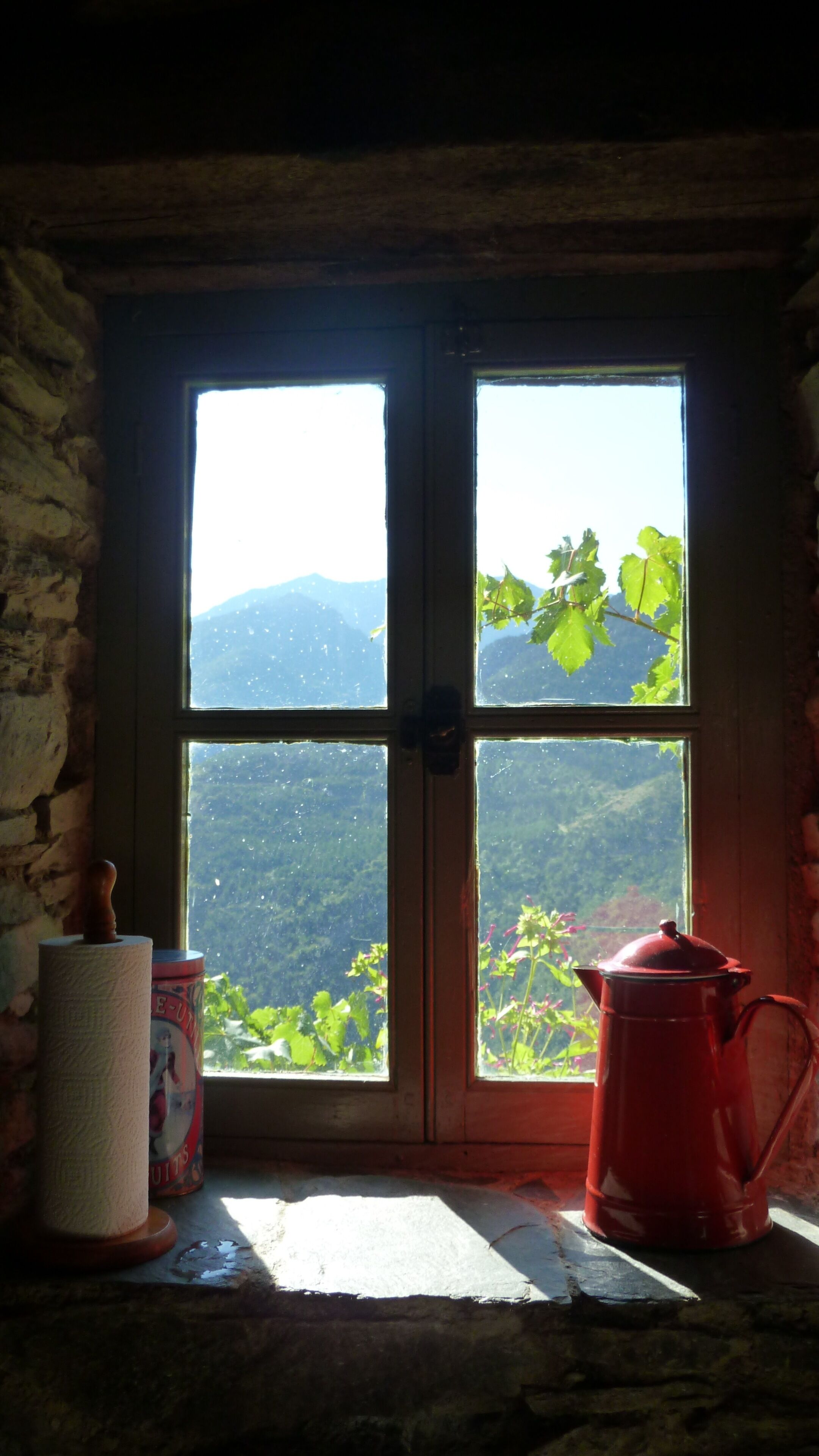 Kitchen window