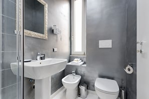 Shower, hair dryer, bidet, towels