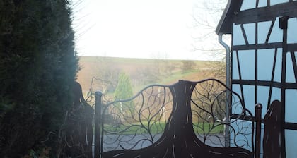 Charming lodging 4/6 people in Alsace