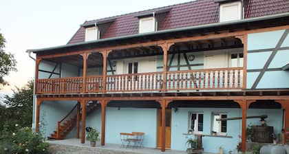 Charming lodging 4/6 people in Alsace