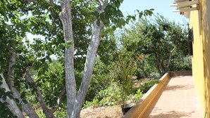 Un chemin bordé d’un mur jaune et d’arbres, qui mène à un bâtiment doté d’un toit recouvert de tuiles.