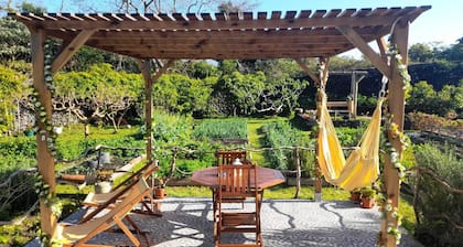 Quinta dos Sentidos Eco Nature Retreat in Azores