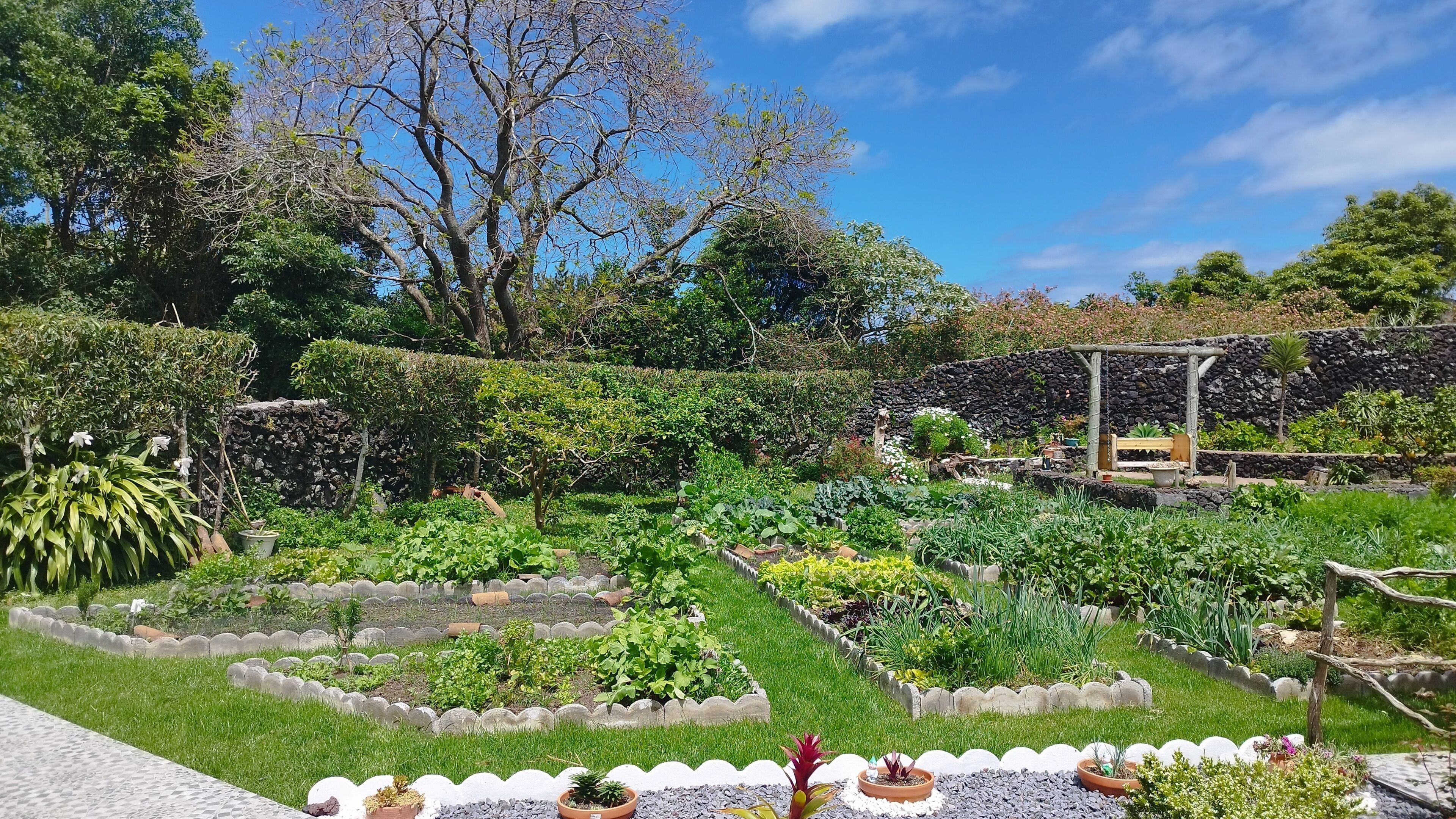 Jardines del alojamiento