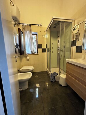 Hair dryer, towels, soap, toilet paper