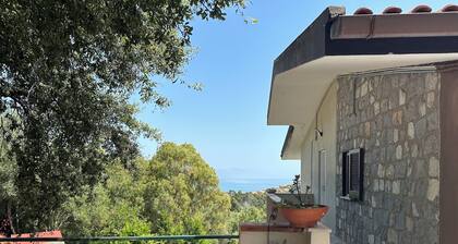 Holiday home Artemide - Scario