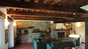 TV, caminetto, lettore DVD, libri