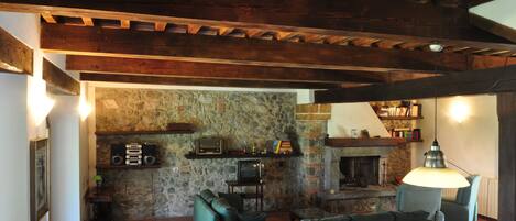 Televisión, chimenea, reproductor de DVD y libros