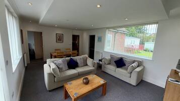 Smart TV, fireplace, DVD player, video library