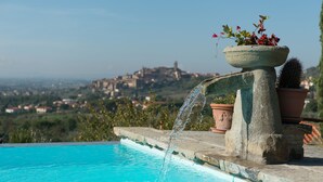 A pool with a stone structure and a potted plant.