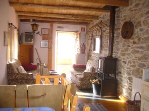 TV, fireplace, books
