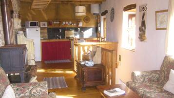 TV, fireplace, books