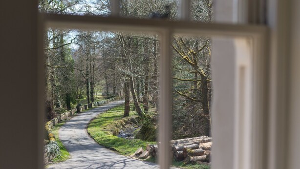 A pathway through a forest with stone walls on one side and logs on the other.
