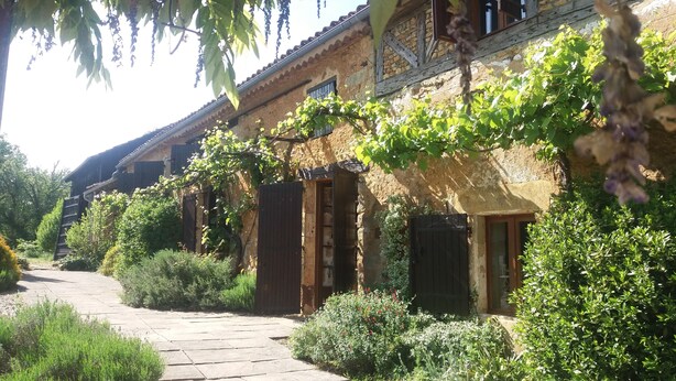 Un edificio rústico de piedra con un camino de piedra que lleva a una puerta de madera.
