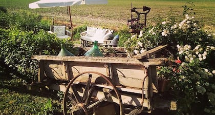 Typisches Bauernhaus in der Toskana „Il Molino“