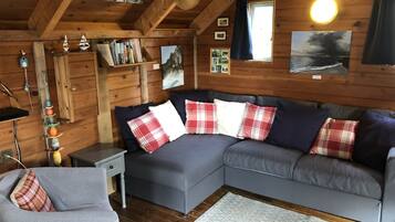 Télévision, lecteur de DVD, livres, chaßne hi-fi