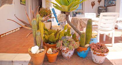 LOISTAVA TALO RANNAN ENSIMMÄISELLÄ RIVILLA, WIFI, KAYAK- JA PADDLE SURF.