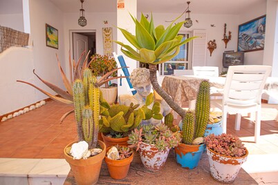 WONDERFUL AND MODERN HOUSE IN THE FIRST LINE OF THE BEACH, WIFI, KAYAK AND PADDLE SURF.