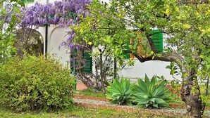 A garden with various plants and a white building with green shutters. - Gardenhouse on the largest beaches of Taormina apartment n. 1 for 4 people (Mazzeo, Taormina)