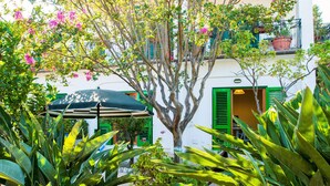 A courtyard with a tree, green shutters, and a potted plant. - Gardenhouse on the largest beaches of Taormina apartment n. 1 for 4 people (Mazzeo, Taormina)