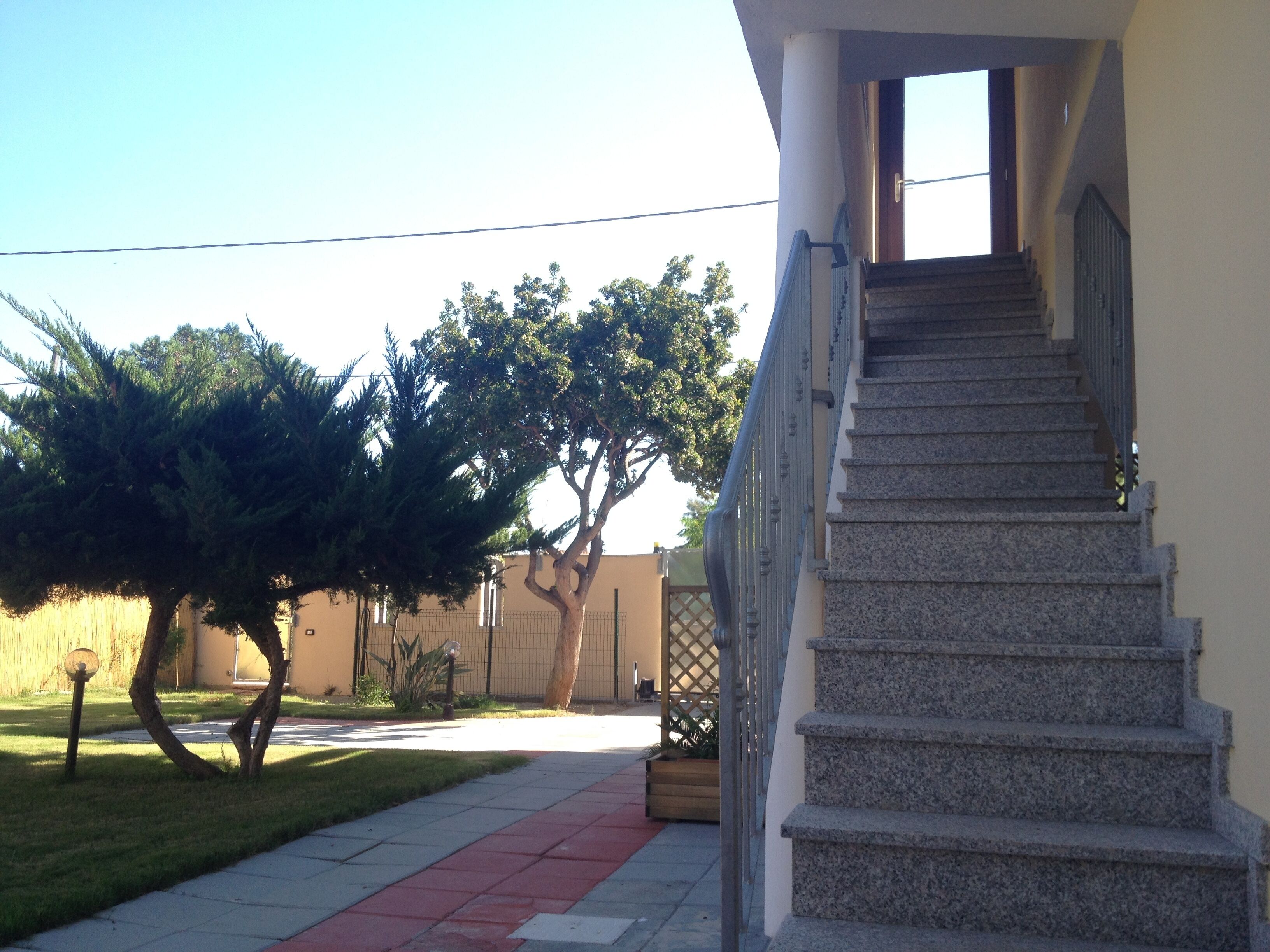 A staircase leading to a building entrance, a pathway, and a small tree.