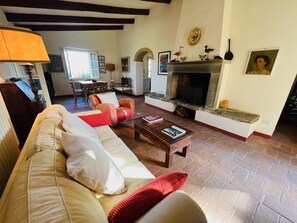 Smart TV, fireplace, video games, DVD player