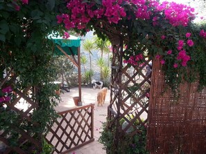 Jardines del alojamiento