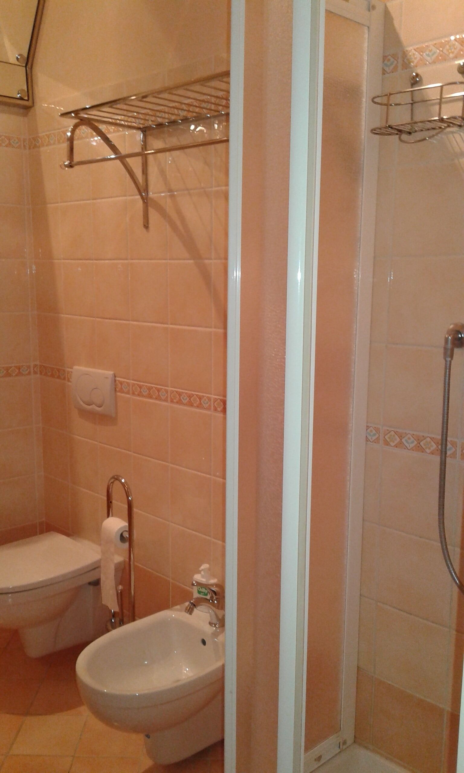 A bathroom with a toilet, bidet, and shower.
