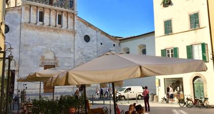 In the historic center spacious apartment adjacent "Villa Bottini" .