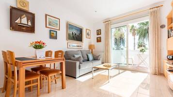 Smart TV, DVD player, books, video library